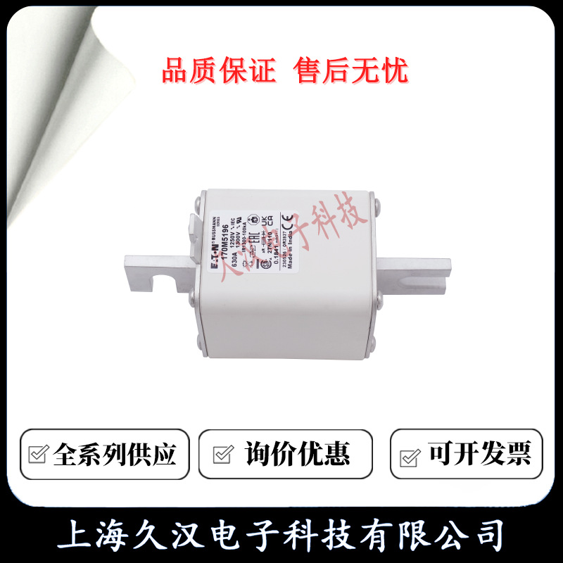 170M5196 170M5197 170M5198 170M5199 170M5200 BUSSMANN 熔断器