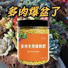 多肉肥料专用肥花肥料通用型肉肉缓释肥多肉控释肥盆栽家用复合肥