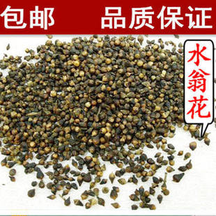 ˮ�̻��ݲ�ș��ˮ�̻���؛șˮӺ�����]��؛��؛