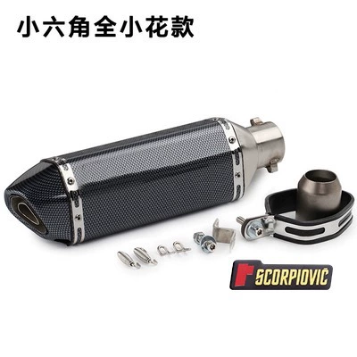 Huanglong 600 Scorpio Exhaust, Motorcycle exhaust pipe