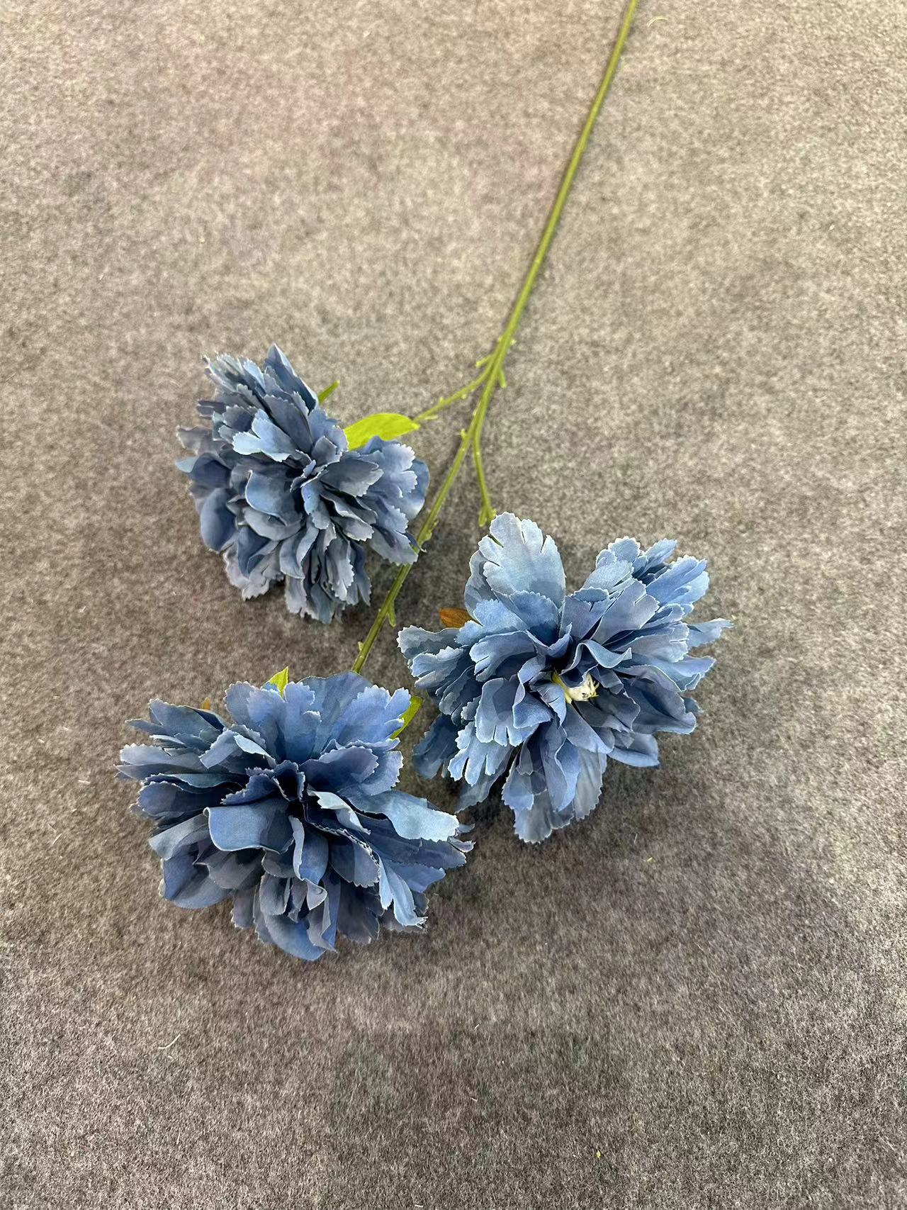 히비스커스 모란 안개 난초