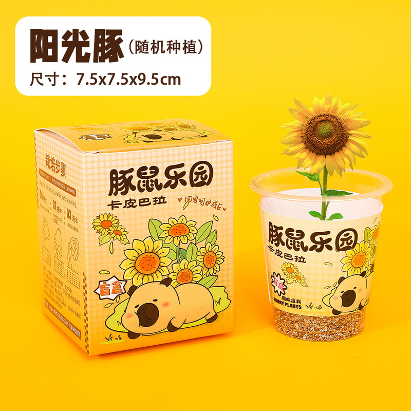 子供用植栽ミニプランター、学生用プラスチック賞品、卓上グリーン、ブラインドボックス、幼稚園ギフト、クリエイティブな小さな贈り物|undefined