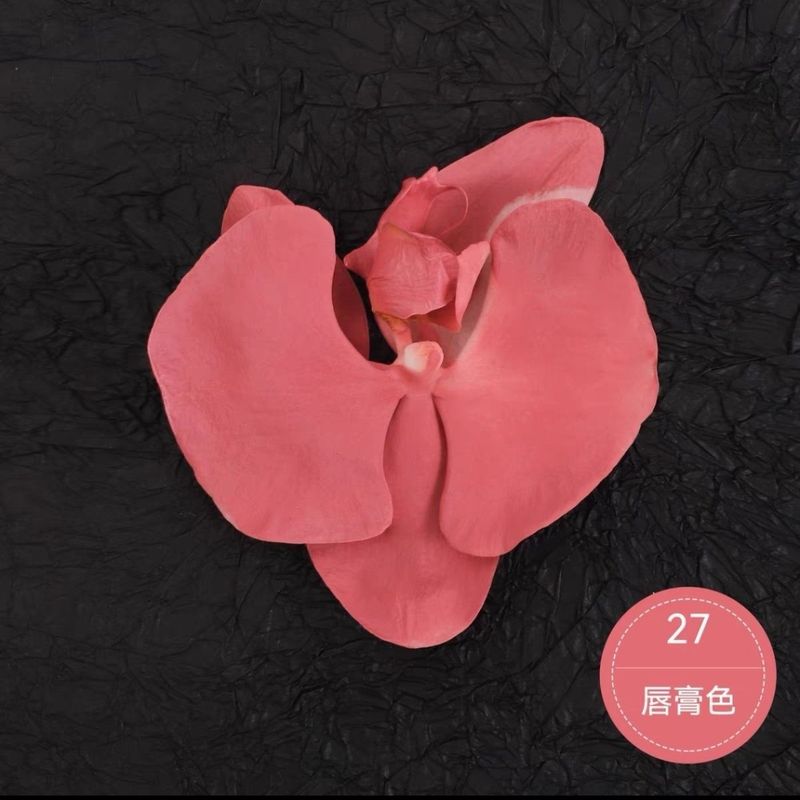 自噴花スプレー 花スプレー 色変更染料ペイント 花屋壁改修 花アート|undefined