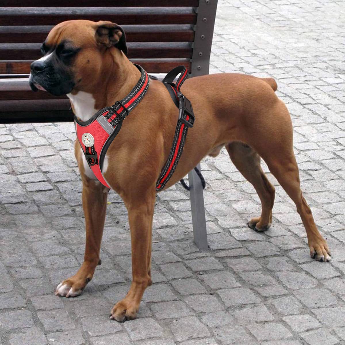 goods in stock Amazon Explosive money Pets Supplies Reflective Thoracolumbar band explosion-proof Vest type Large dogs outdoors Walk the dog