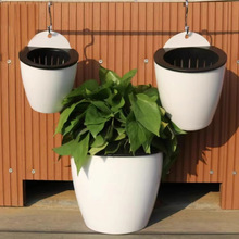 壁挂花盆懒人盆免浇水挂墙上免钉多肉花盆绿萝挂篮盆挂壁塑料花盆