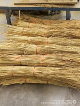 干稻草纤维水稻秸秆古建筑粉墙装饰碎稻草绿化硅藻泥稻草漆价