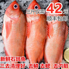 �t�~ �tʯ�� �L���~ ���F�~ ���r���r �r��ˮ�a �ك�