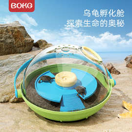 BOKG小学生儿童科学饲养孵化动物小实验乌龟蛋孵化舱观察盒玩具