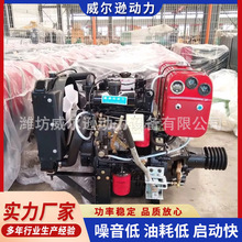 供应柴油发动机 双缸2110柴油机搅拌机柴油发动机 小型2110 2105