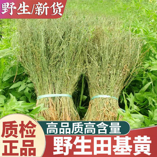 ���u�V��Ұ������S��؛500g����ض����S����ȸ�����؛��؛