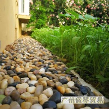 铺地原石庭院花园铺路天然斤石头大小造景鹅卵石50鹅软暖石雨花石