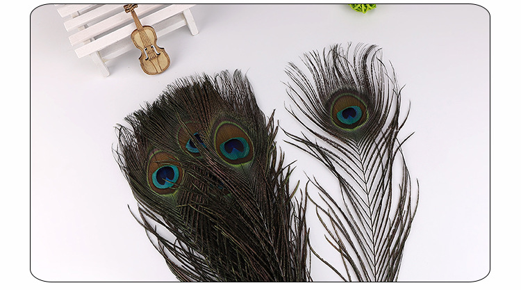 宇略孔雀毛_09.jpg