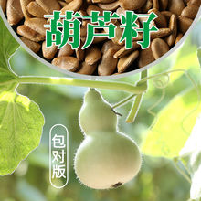 �^�pͥԺ�����ش���J�N����������С���J����ͥ�ˌ����J��������