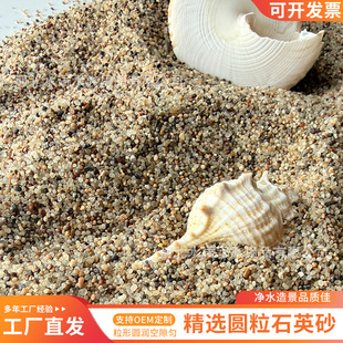 ��ɳ��ͯ�ʘ�ɳ�Θ����o�m��ɳ�S�����l����ɳ���~���쾰�ÈA��ɰ