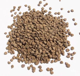 ������ ���ӽ���� ��Ƕ� ���ٲ� 500����؛��؛