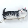Серый пятнистый кот