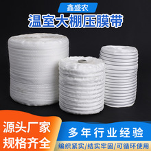 ���Ҵ��Ĥ���S�����l�߹����Ĥ���͸ߜ؉�Ĥ������S��ֱ�N