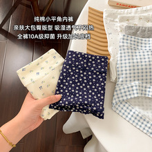 内裤女女生纯棉10A抗菌全棉加长裆胖mm大码女款亲肤女士平角裤