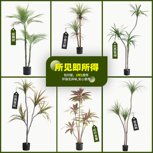 ����ֲ������F���Է���Gֲ��Ѫ��٘䱱�W�W�t�Gֲ�͏d�b�����