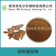 锁阳提取物10：1 锁阳生物碱 锁阳粉 锁阳提取粉
