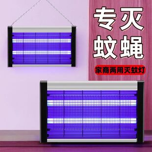 ���ß�늓��������nω�͏d�����������������ω������