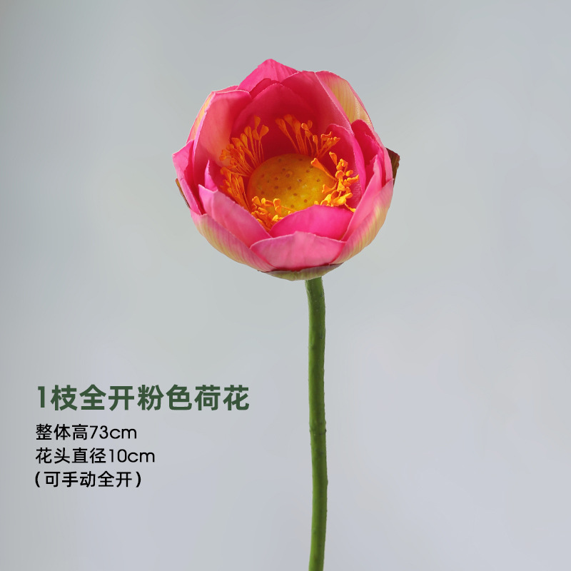 핑크색 연꽃 가지 1개