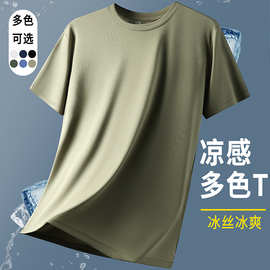 大码短袖t恤男士新款夏季棉上衣宽松潮流短袖体恤可二次开发