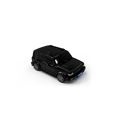 Car key bag – for tank 300 key set