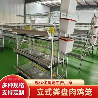 粪盘立式肉鸡三层四层笼养殖厂养殖畜牧肉鸡笼带水槽石槽鸡笼子