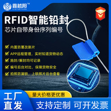 定制实时定位智能电子铅封油罐设备资产管理盘点防伪电子标签扎带