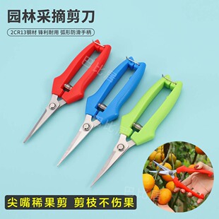 Pruning Shears Gardening Scissors Pruning Shears Labor-saving Pruning Branches Fruit Trees Bamboo Sticks Garden Flowers Floral Shears