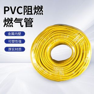 Pvc Flame Retardant Corrugated Hose Plastic-Coated Explosion-Proof Metal Hose Liquefied Gas Pipe Household Gas Pipe Ningbo Manufacturer