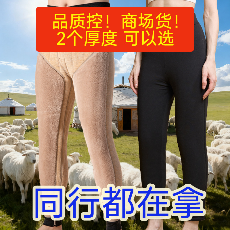Northeast-40°C mink velvet long knee pad warm pants men's 100% wool down cotton pants women's long pants middle-aged and elderly