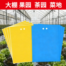 �羳�S��ճ�x���E�R�����p����x�S�{�T�x���p���zС���w��@����