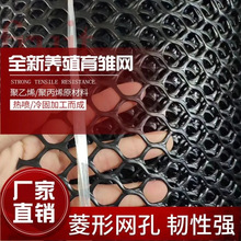 厂家直发韧性强菱形网孔塑料网鸡鸭养殖网漏粪网宠物笼育雏塑料网