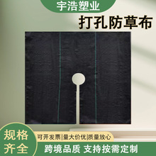 打孔切片防草布跨境供应批发遮草布厂家直销打孔果树大棚农用专用