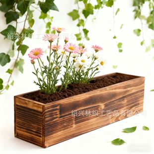 ľ�|��̨���ۻ�����L���Α���ֲ�ľ�������M�Ϻз���ľ��