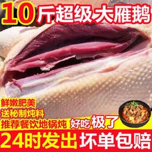 鹅肉新鲜大鹅 鹅肉整只新鲜 活鹅肉现杀冷冻农家散养白鹅整只老家