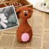 Brown puppy