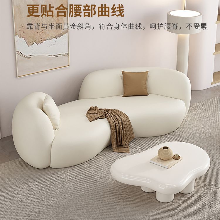 Scandinavian Small Apartment Beauty Salon Clothing Store Rest Area Reception Sofa B&B Apartment Living Room Curved Creative Sofa