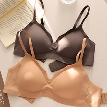 �޺����η۵�Һ���´�����С�ز��ձ���£һƬʽ��������BL2538