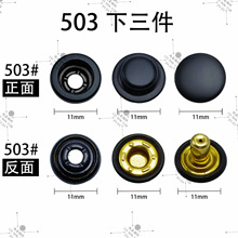 503������ƽ���ĺϿ���q�����������[�ο���