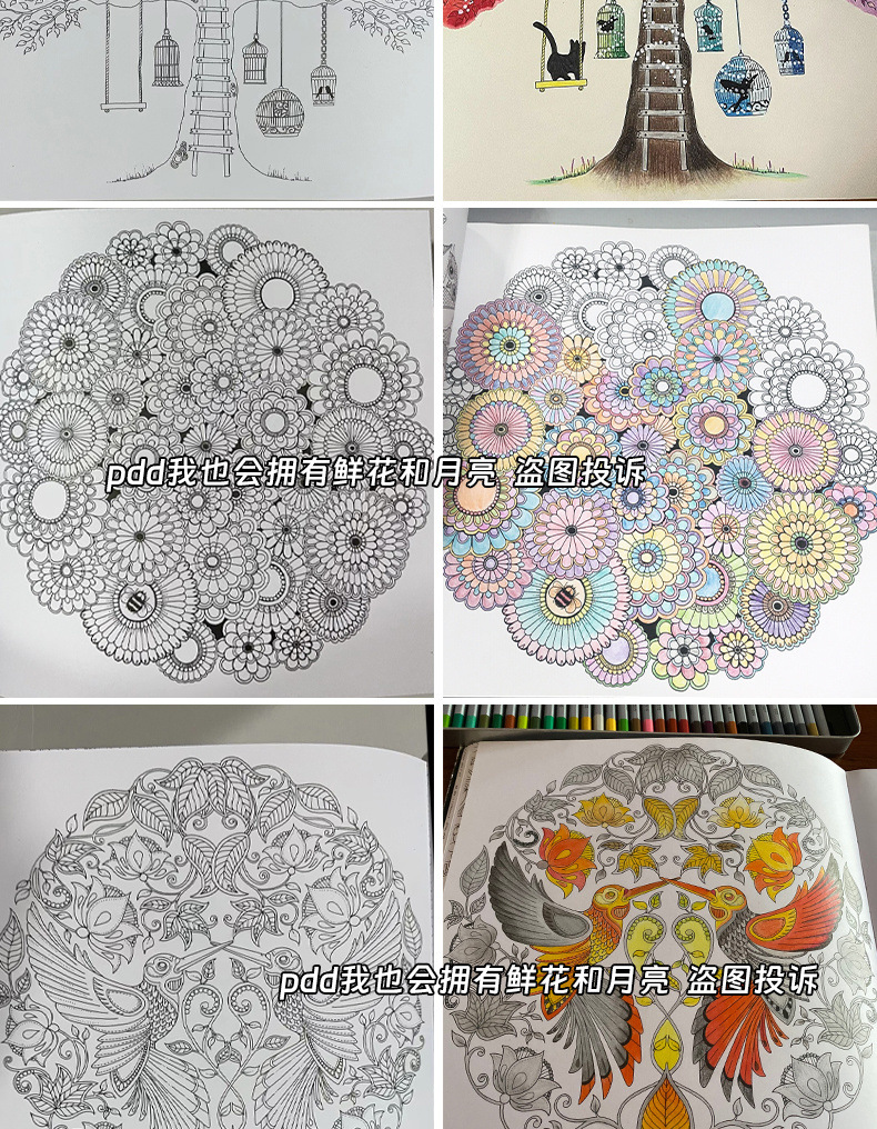 81b15d8d-f963-44ab-a009-3bfb261652a8.jpe