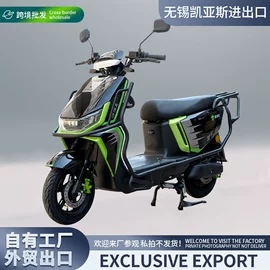 两轮摩托车;电动摩托车;其他电动车