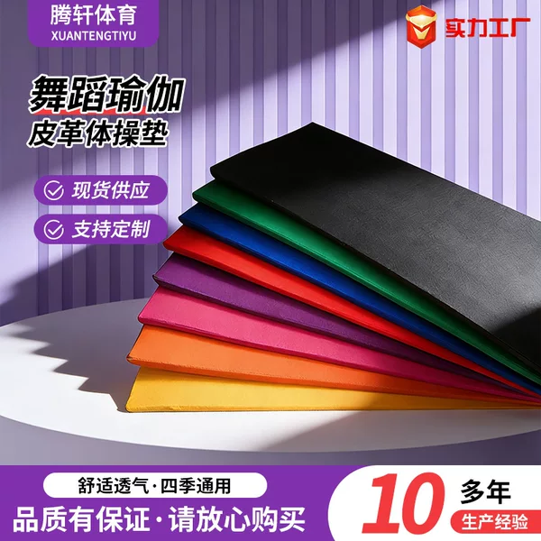 Children's Dance Practice Mat, Sit-Up Mat, Fitness Exercise Training Mat, Waterproof Leather Mat, Thickened Cushioning