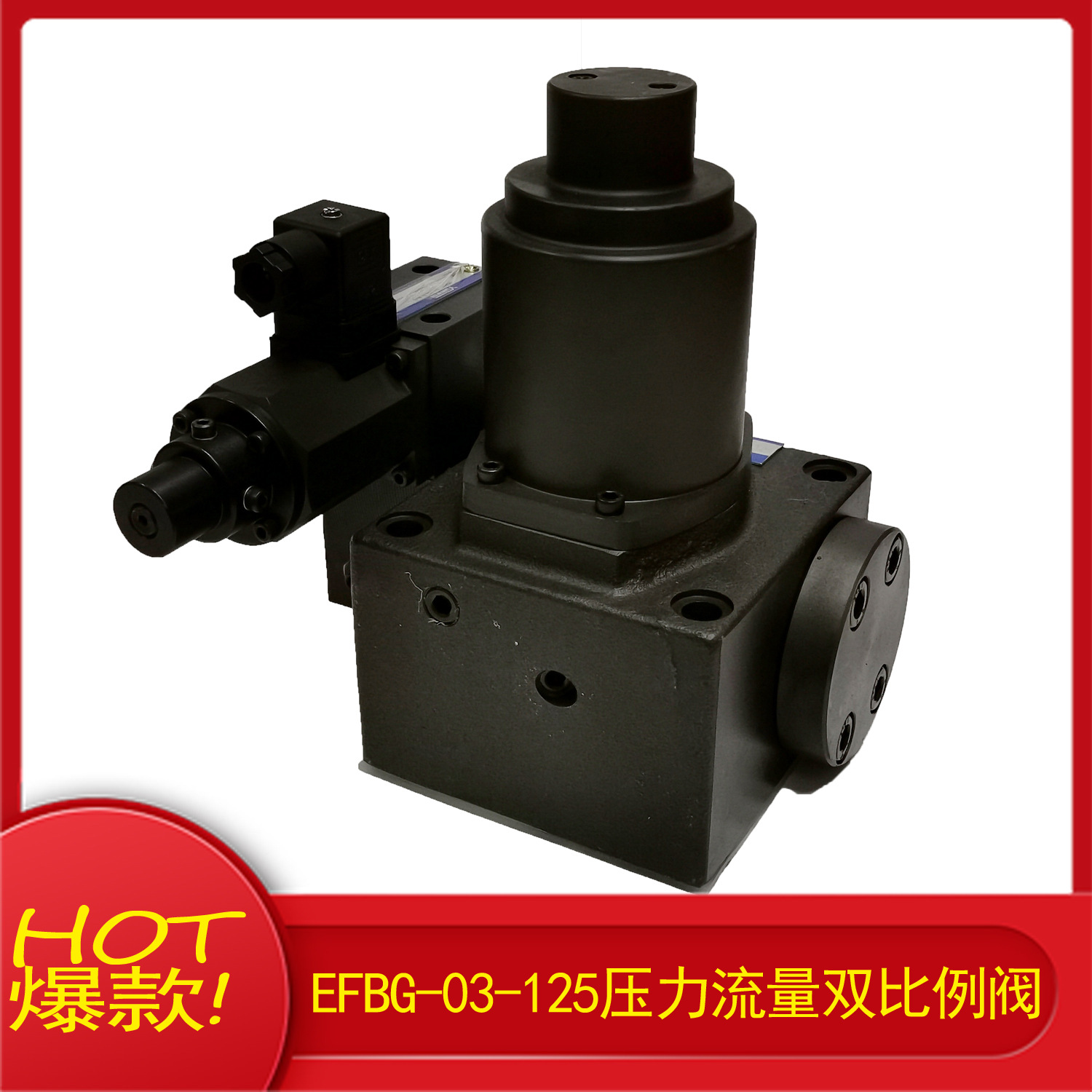 ҺѹϵͳҺѹ���ȵ�ʽ��Һѹ������������EFBG-03-125PQ��ע�ܻ�