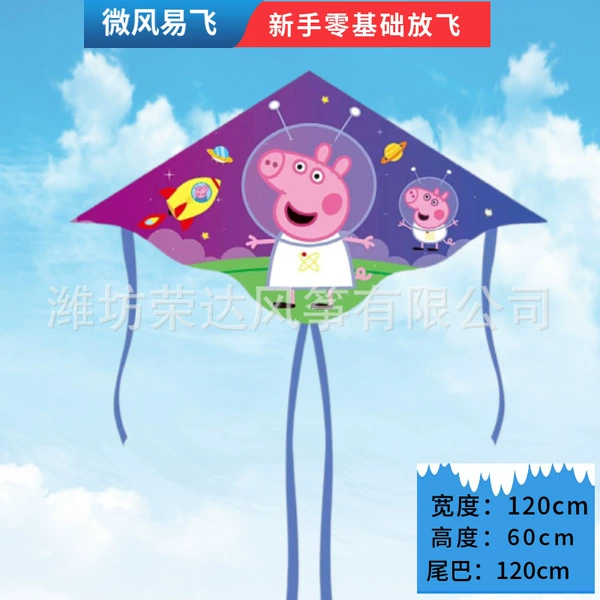 Starry sky, kite, 1.2meter