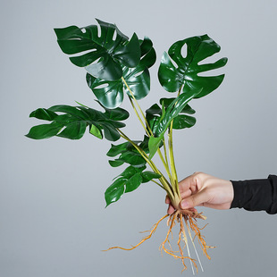 ����Gֲ���������~�����~�O���~�������΢���^�쾰ֲ��b��~