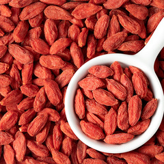 早康頭茬枸杞禮盒中寧特優級枸杞子寧夏枸杞252g批發代發源頭工廠