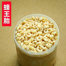 蜂场直售蜂王胎蜜蜂幼虫蜂皇胎速冻冷鲜活蜂子蛹女性滋营养品代发